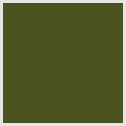 OD Green Cerakote +$35.00
